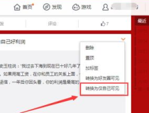 私密微博怎么公开,如何巧妙公开生成概述文章副标题