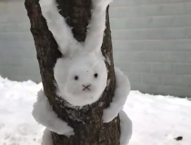 白雪兔小姐姐,童话中的时尚精灵